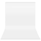 HEMMOTOP White Backdrop 10x12ft, Large Photography Background Screen for Photoshoot, 3x3.6m Seamless White Photo Backdrop Fabric for Birthday Parties, Video Recording, Weddings (Only Backdrop)