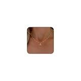 De Amo Sara Mothers Day Gifts - Initial Necklaces for Women, Dainty A-Z Pendant Letter Charm Necklace Personalized Name Necklaces for Women Trendy Jewelry Gift