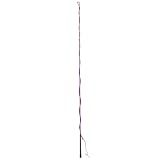 Dublin Lunge Whip, Purple, 64"