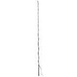 Dublin Lunge Whip, Purple, 64"