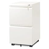 DEVAISE 2 Drawer Mobile File Cabinet with Lock, Commercial Vertical Cabinet, White