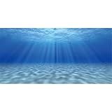 AWERT Undersea Theme Aquarium Background Sunshine Underwater World Fish Tank Background 24x12 inches