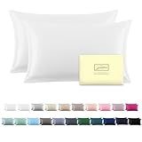 Silk Pillowcase for Hair and Skin,Soft,Breathable and Sliky 100% Standard Size Pillow Cases Set of 2,Both Sides Natural Mulberry Silk Pillowcases with Hidden Zipper(Standard Size 20"X 26",2pcs)