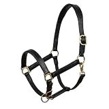 ROYAL HORSE Genuine Leather Horse Halter – Padded Crown, Brass Hardware