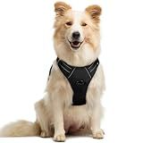 rabbitgoo Dog Harness, No Pull Medium Sized with 2 Leash Clips, Pet Vest