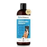 Pet Honesty Chlorhexidine Cat & Dog Seasonal Itch Relief Shampoo, for Allergies, Itching, Skin and Coat Supplement, Helps Shedding, Hot Spots, Deodorizing Dog Shampoo & Grooming Supplies,16oz