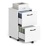VASAGLE 2-Drawer File Cabinet, Small Rolling Filing Cabinet for Home Office, Printer Stand, for A4, Letter-Size Documents, 15.7 x 16.5 x 27.6 Inches, Snow White UOFC040W46