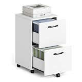 VASAGLE 2-Drawer File Cabinet, Small Rolling Filing Cabinet