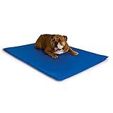 K&H Pet Products Cool Bed III Dog Cooling Mat, Indoor Outdoor Cooling Beds for Medium Dogs, Chilling Pet Pad for in Home, Outdoor Houses, Crates, Yards, Porches - Medium 32 X 22in Chill Blue