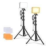 NEEWER Basics 2 Pack LED Video Light Panel Lighting Kit, Bi Color Dimmable Portable Studio Lights with Stands & Filters, 3200K-5600K 750lux CRI95 for Video Recording Live Streaming Photography, BP66