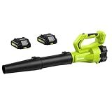 SUNCHERS Leaf Blower Cordless with 2 Batteries and Charger, Electric Battery Powered Cordless Leaf Blower, Portable Lightweight Handhold Blowers for Blowing Leaves, Patio Cleaning, Lawn Care and Dust