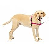 PetSafe Easy Walk No-Pull Dog Harness - The Ultimate Harness to Help Stop Pulling - Take Control & Teach Better Leash Manners - Helps Prevent Pets Pulling on Walks, Large, Raspberry/Gray