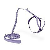 PetSafe Come with Me Kitty Cat Harness & Bungee Leash - Comfortable No-Choke Harness with Lightweight Bungee Leash for Outdoor Fun - Escape Free Pulling Prevention - Medium - Lilac