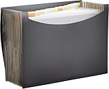 Amazon Basics Expanding Accordion File Organizer, Letter Size, 13 Compartments, Large Capacity Document Storage, Waterproof, Black, 1-Pack