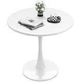 Recximi White Round Dining Table for 2 Person, 24 Inch Small Tulip Table with Metal Pedestal for Living Room, Mid Century Modern Kitchen Table for Kitchen, Office, Pub, Bar, Bistro, Circle Cafe Tables