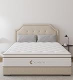 KOANTTI Queen Size Mattress,10 Inch Grey Memory Foam Hybrid Queen Mattresses in a Box,Individual Pocket Spring Breathable Comfortable for Sleep Supportive and Pressure Relief,CertiPUR-US.