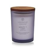 Chesapeake Bay Candle Medium Jar Scented Candle Serenity + Calm (Lavender Thyme) Home Décor Orange Gifting Idea Burn Time of 50 Hours