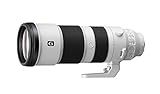 Sony FE 200-600mm f/5.6-6.3 G OSS Super Telephoto Zoom Lens
