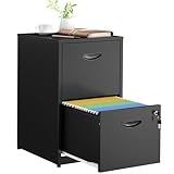 SteeLoong 2 Drawer File Cabinets,Metal Office File Cabinet with Lock,Black Filing Cabinets for Home Office,Vertical Modern File Cabinet Office Two Drawers for Hanging Letter,Assembly Required