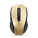 TECKNET Bluetooth Mouse, 4000DPI Wireless Mice for Laptop 2-in-1(BT 5.0/3.0+2.4Ghz) Computer Portable PC Mouse Wireless with USB Receiver for Mac (USB-A+Bluetooth, Black Gold)