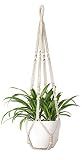 Mkono Macrame Plant Hanger Indoor Hanging Planter Basket with Wood Beads Decorative Flower Pot Holder No Tassels for Indoor Outdoor Boho Home Decor 35 Inch, Ivory, Set of 1 (POTS NOT Included)