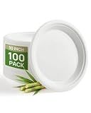 Goodluck 10 Inch White Compostable Sugarcane Paper Plates, 100 Pack
