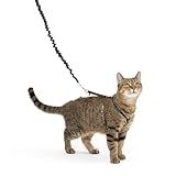 PetSafe Come With Me Kitty Harness and Bungee Leash, Harness for Cats, Medium, Black/Silver, CWMK-M-BLK