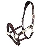 Paris Tack All Sides Padded Curved Design Horse Leather Halter with Brass Name Plate (Havana, Full Horse)