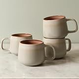 Ava Nord Stoneware Ceramic Coffee Mugs Set of 4 | 12 oz | Sage Ash