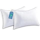 JOLLYVOGUE Pillows Queen Size Set of 2 for Sleeping, Soft and Supportive Bed Pillow with Down Alternative Filling for Side and Back Sleepers, Hotel Collection