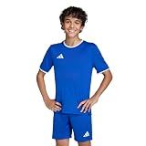 adidas Unisex-Kids Entrada26 Jersey, Team Royal Blue/White, Medium