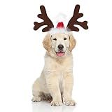 BWOGUE Dog Reindeer Antlers Costume, Christmas Headband for Dogs and Cats