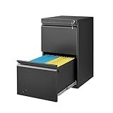 Guizeeopo 2 Drawer File Cabinet with Lock, Vertical File Cabinets for Home Office, Printer Stand, Heavy Duty Steel Office Storage Cabinet for Letter/Legal/A4, Assembly Required(Black)
