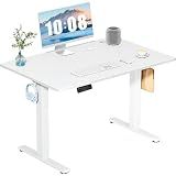 DUMOS 40 Inch Electric Standing Desk, Memory Adjustable Home Office Desk