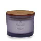 Chesapeake Bay Candle Scented Candle Serenity + Calm (Lavender Thyme) Coffee Table Home Décor