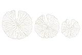 Creative Co-Op Handmade White Coral Shaped Paper & Metal Wall Décor (Set of 3 Sizes)