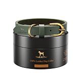 NOAH & PAW Dog Collar for Medium Dogs, Genuine Leather Medium Dog Collar with Oil-Wax Finish, Heavy Duty Metal Buckle, Unisex Colors for Girl and Boy, Neck Size 14"-19" (Dark Green).