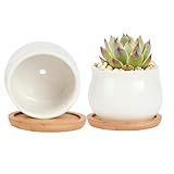SHECIPIN 2 Pack Succulent Pots, 2.5 Inch Mini Ceramic Pots for Flower or Cactus Plants with Drainage Hole,Plants Not Included (White)