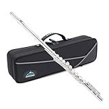 EastRock Closed Hole Flutes C 16 Key for Beginner, Kids, Student Silver Nickel Flute with Case Stand and Cleaning kit