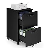 Sweetcrispy 2 Drawer Filing Cabinet Black, Rolling Wood File Cabinets with Printer Stand Under Desk Storage Lockable Wheels, Home Office Organizer