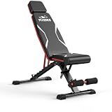 FLYBIRD Adjustable Weight Bench, Full Body Workout Bench for Home Gym-XL