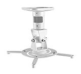 AMER Projector Mount - Ceiling Bracket LCD DLP Tilt 360° Swivel 30lbs (White)