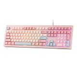 MechLands Aula S102 Membrane Gaming Keyboard with Number Pad, 100% Full Size Layout, USB-C Wired, RGB Backlit, Creamy Silicone Structure, Silent Keyboard for PC Game/Office (Pink)