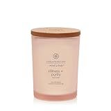 Chesapeake Bay Candle Scented Candle Stillness + Purity (Rose Water) Medium Jar 8 Ounce Home Décor