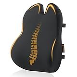 ProtoArc Lumbar Support Pillow for Office Chair, Memory Foam Back Support Pillow for Lower Back, Lumbar Cushion Desk Chair Back Cushion, Ergonomic Back Rest for Chair, Car, Home - Black