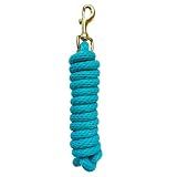 Horntack 5/8" x 8' Nylon Horse Lead Rope with Cast Iron Hardware(Lake Blue)