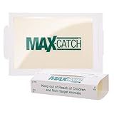 Catchmaster Max-Catch Mouse & Insect Glue Trap 36PK, Mouse Traps Indoor for Home, Sticky Pest Control Adhesive Tray for Catching Bugs, Non Toxic Bulk Unscented Glue Boards