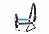 SIE EQUESTRIAN Leather Horse Halter with Brass Hardware, Pink and Black (Brown with Turquoise Padding, Cob)