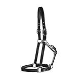 Dover Saddlery Suffolk Everyday Halter, Color: Black, Size: Horse-F/S