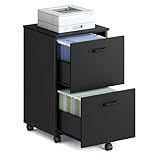 VASAGLE 2-Drawer File Cabinet, Small Rolling Filing Cabinet for Home Office, Printer Stand, for A4, Letter-Size Documents, 15.7 x 16.5 x 27.6 Inches, Matte Black UOFC040B16